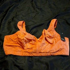 NWT 42G Dusty Cedar colored Bra, Modern Movement